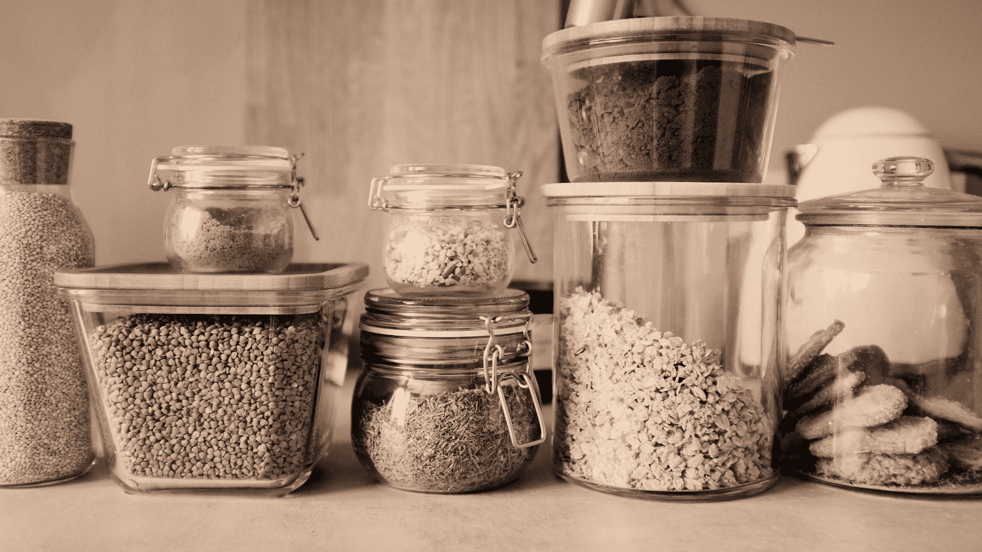 Plan Nutritionnel